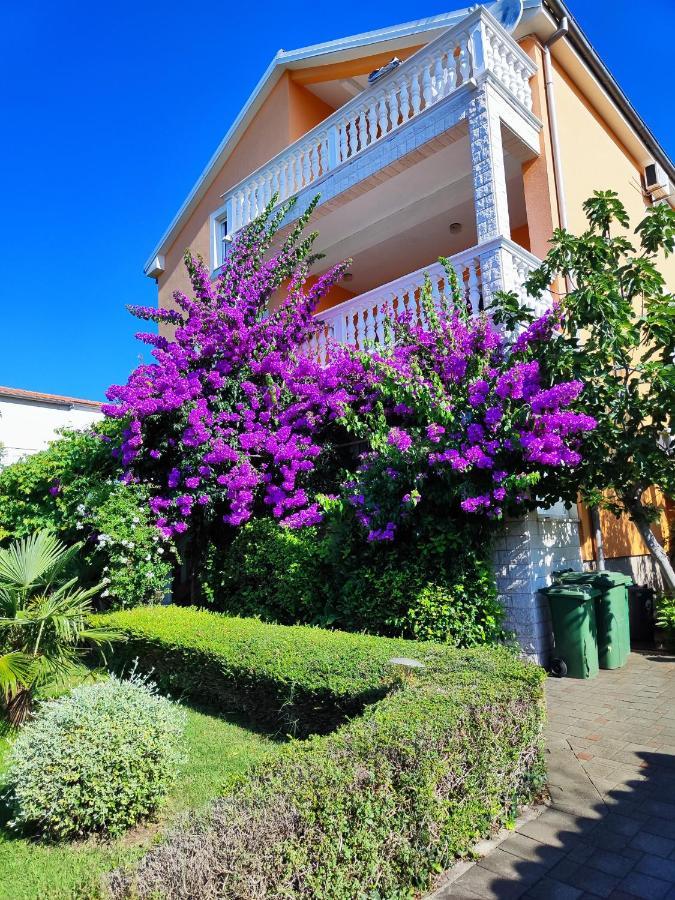 Apartmani Seka Βόντιτσε Εξωτερικό φωτογραφία
