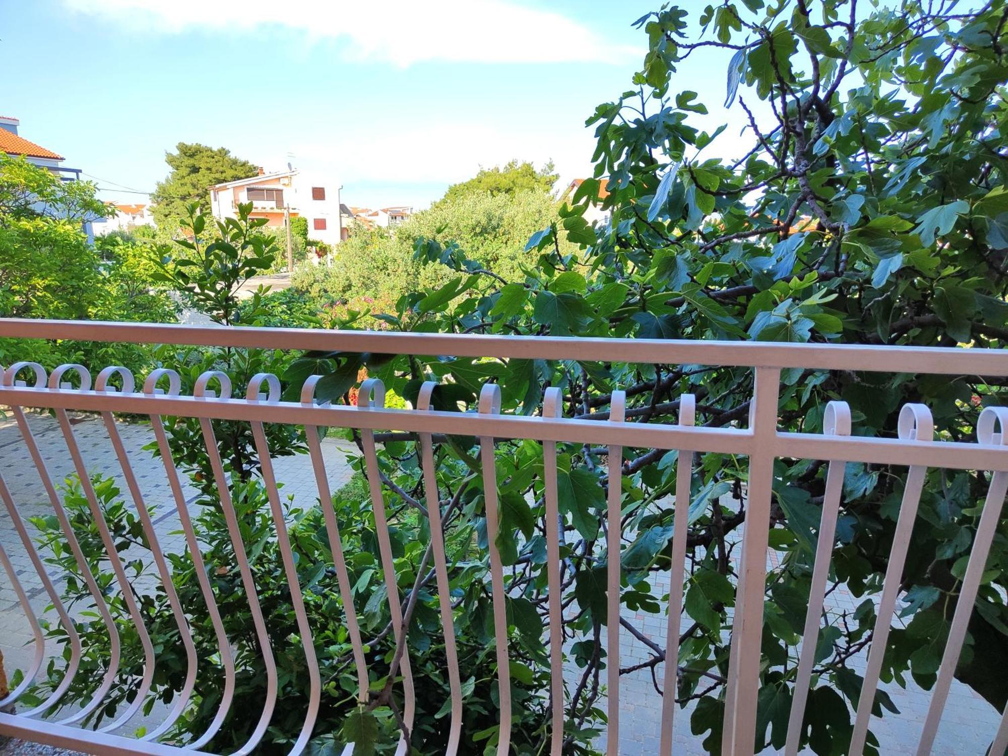Apartmani Seka Βόντιτσε Εξωτερικό φωτογραφία