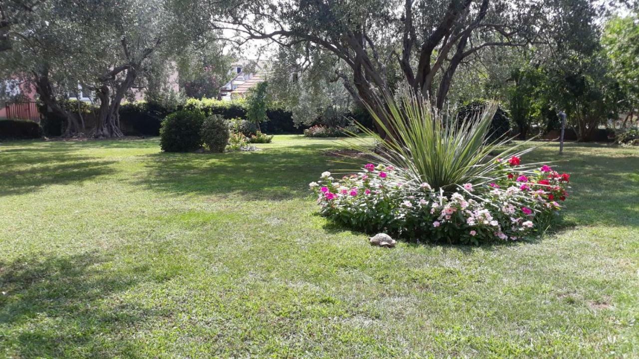 Apartmani Seka Βόντιτσε Εξωτερικό φωτογραφία